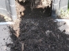 08-compost.jpg