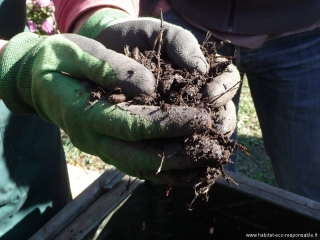 compost-formation.jpg