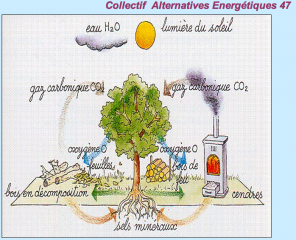 collectif-47