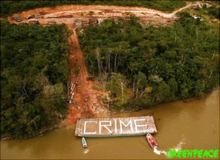 foret-greenpeace.png