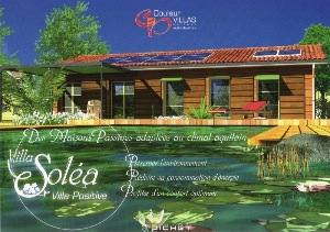 solea-2.jpg